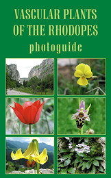 Vascular Plants of the Rhodopes - photoguide