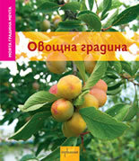 Moiata gradina mechta: Ovoshtna gradina