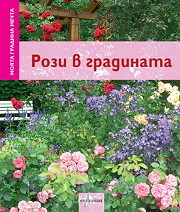 Moiata gradina mechta: Rozi v gradinata