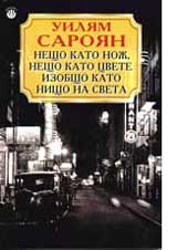 Neshto kato noj, neshto kato cvete, izobshto kato nishto na sveta