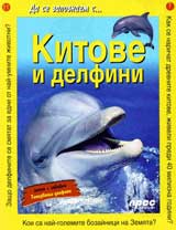 Da se zapoznaem s: Kitove i delfini