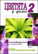 Cvetiata u doma 2