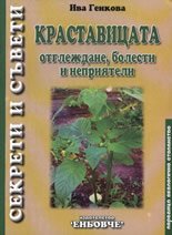 Krastavicata - otglejdane, bolesti i nepriiateli