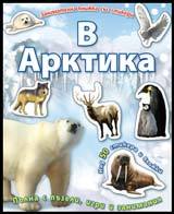 Zanimatelna knijka sus stikeri – V Arktika
