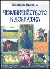 Chiflikchiistvoto v Dobrujda